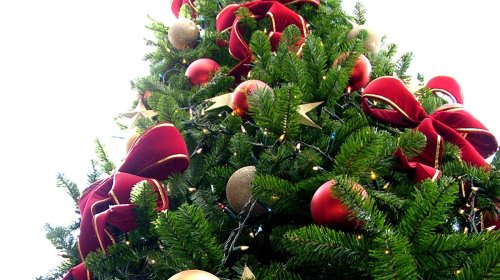Festive Offers